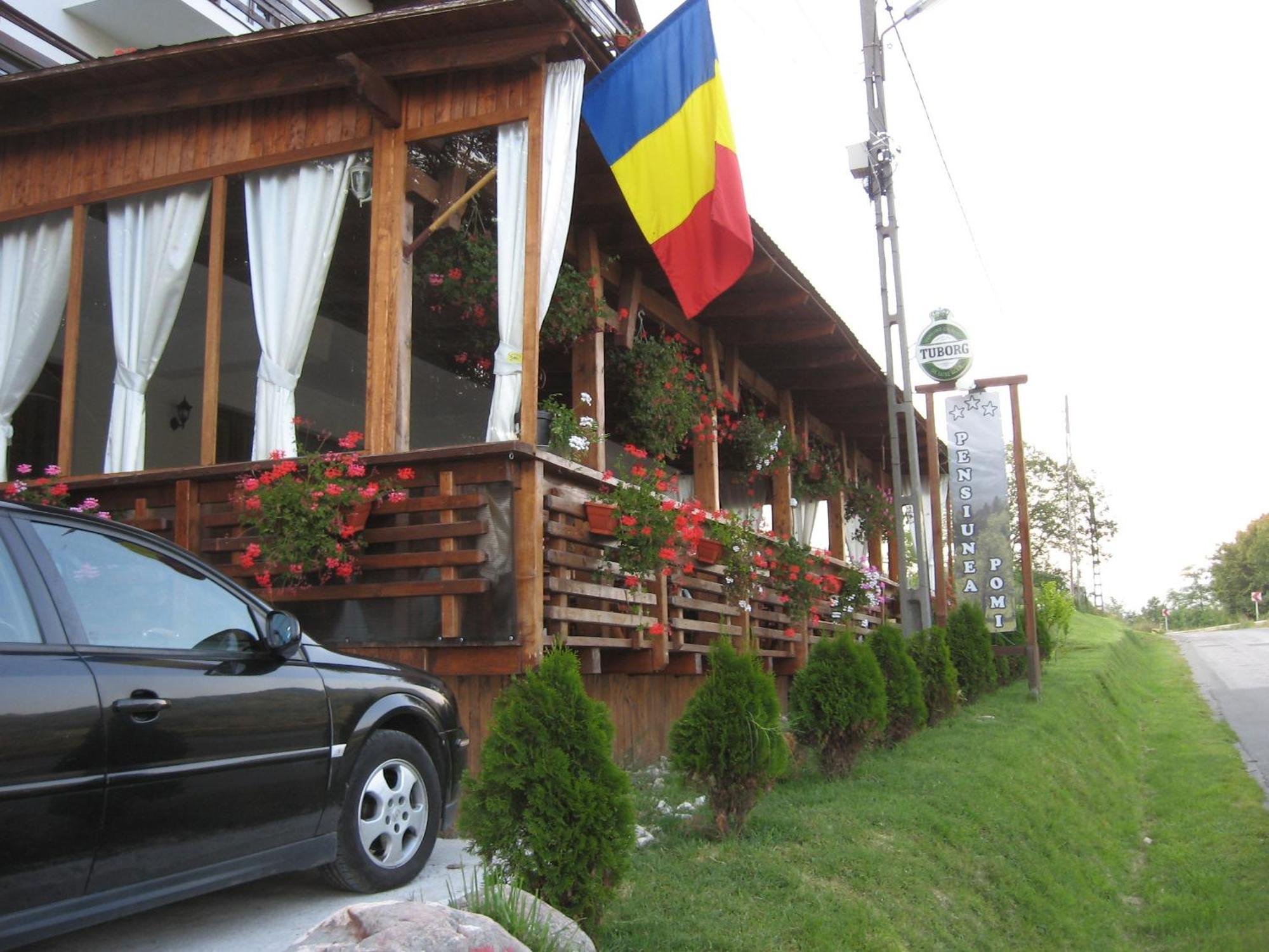 Pensiunea Pomi -Oesti Hotel Albestii Paminteni Exterior foto