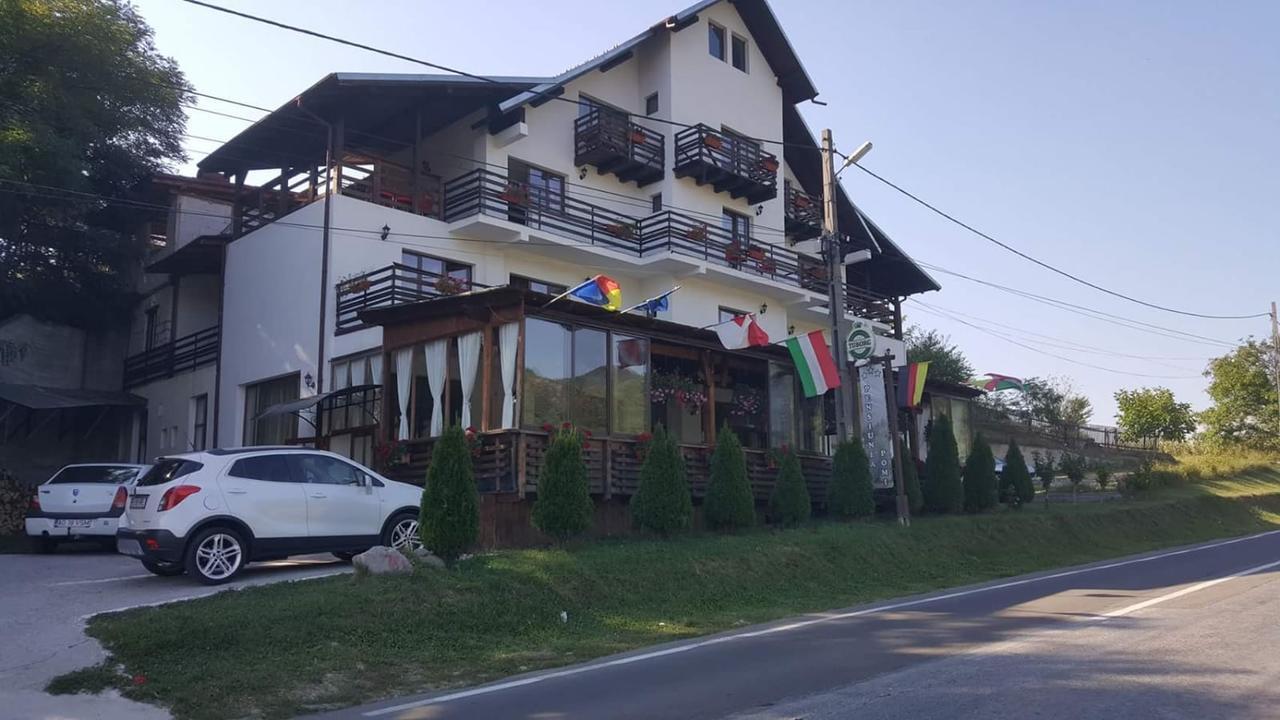 Pensiunea Pomi -Oesti Hotel Albestii Paminteni Exterior foto